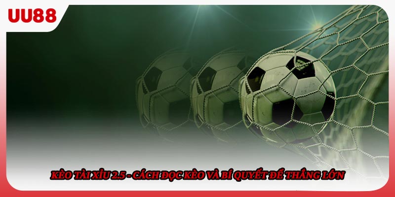 Kèo Tài Xỉu 2.5 - Cách Đọc Kèo Và Bí Quyết Để Thắng Lớn